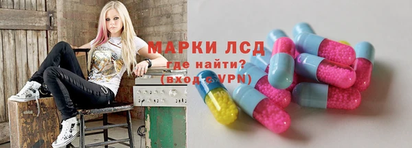 стаф Белокуриха