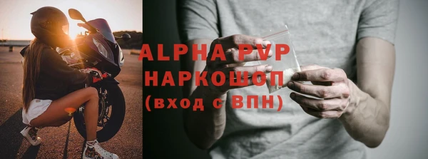 стаф Белокуриха