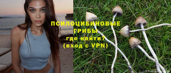стаф Белокуриха