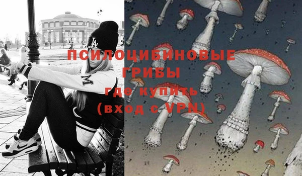 прущие грибы Белоозёрский