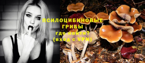 прущие грибы Белоозёрский