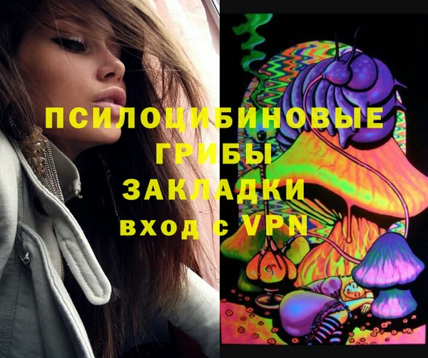 стаф Белокуриха