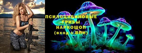 стаф Белокуриха