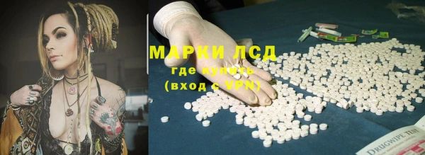прущие грибы Белоозёрский