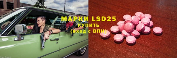 прущие грибы Белоозёрский