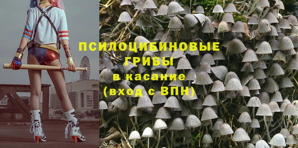 стаф Белокуриха
