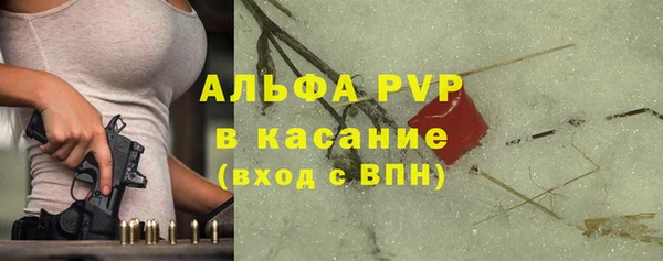 стаф Белокуриха