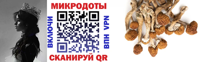 Галлюциногенные грибы ЛСД  площадка состав  Новошахтинск 
